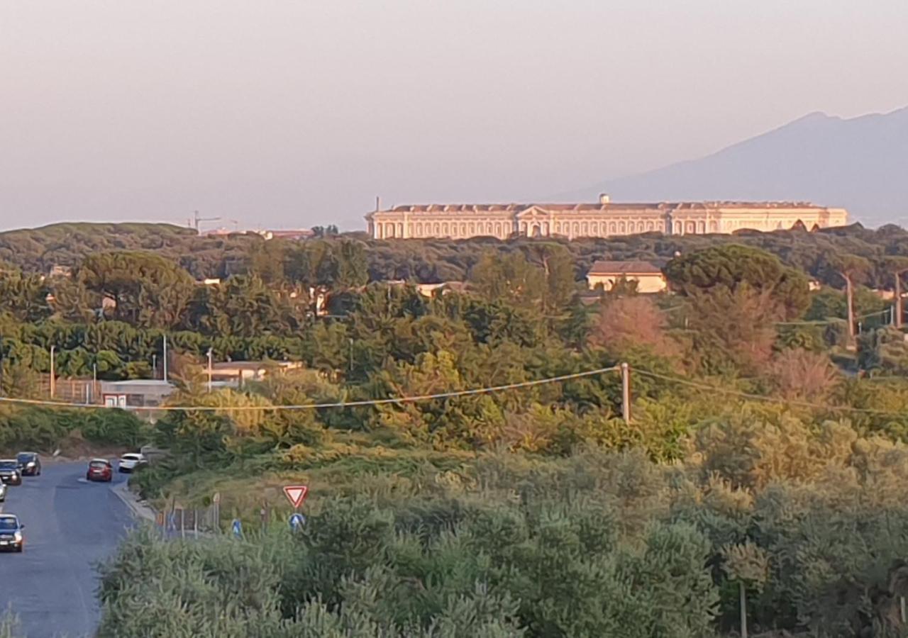 B&B Oliveto Caserta Dış mekan fotoğraf