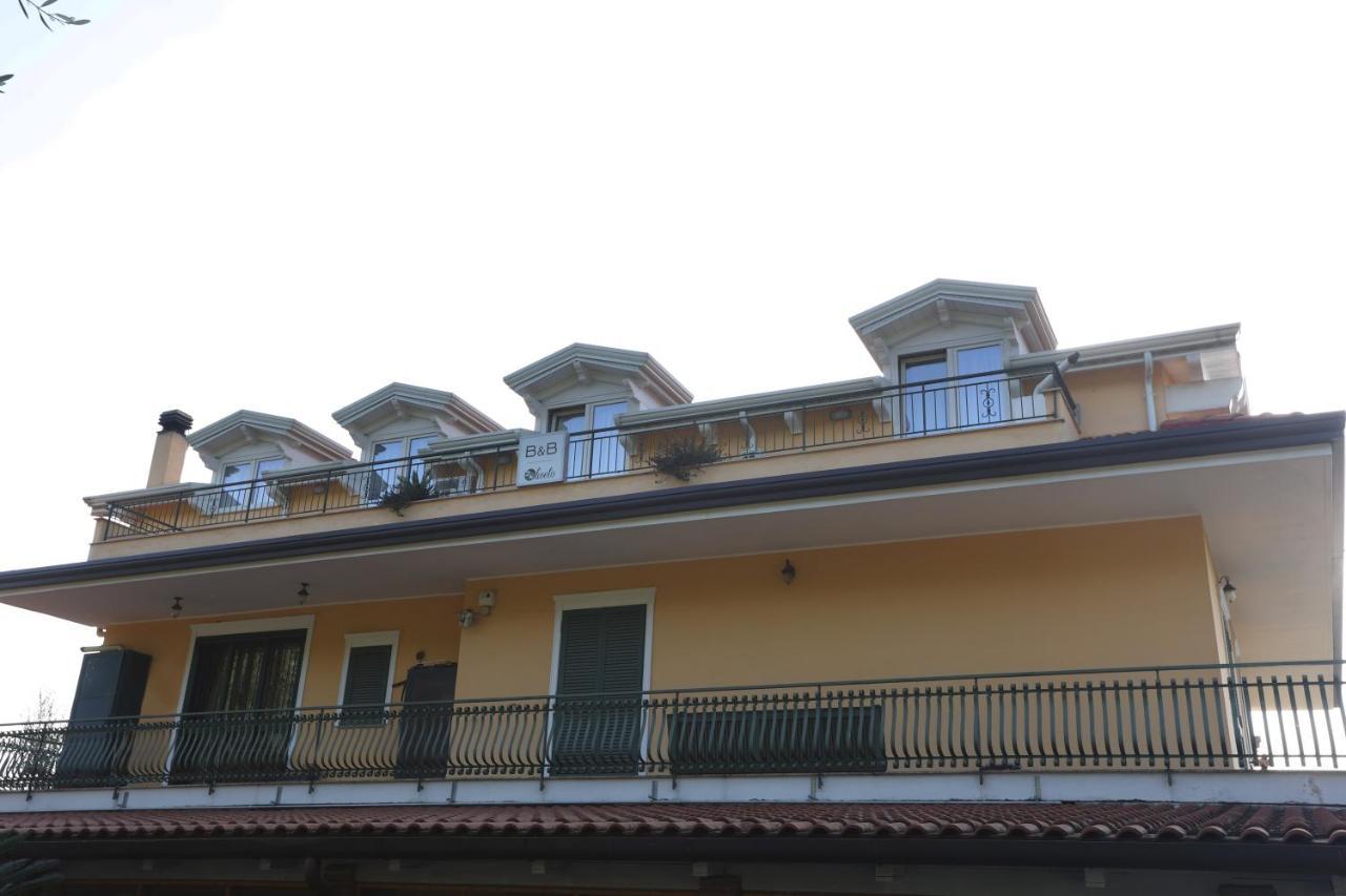 B&B Oliveto Caserta Dış mekan fotoğraf